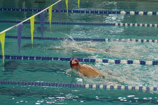 星空投注-韩国男队自由泳爆发力惊人，韩国200米自由泳